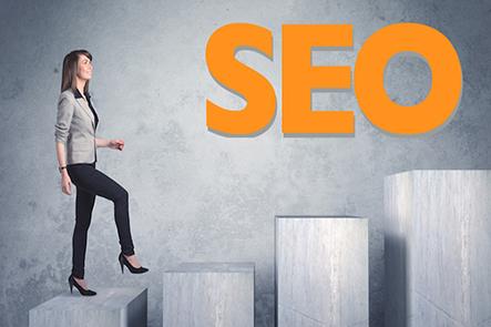 Maintain top SEO Services